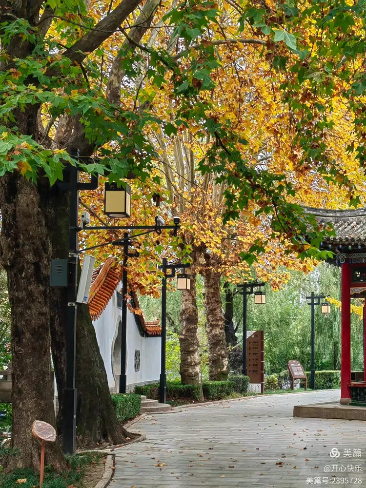 秋日里的凤翔东湖